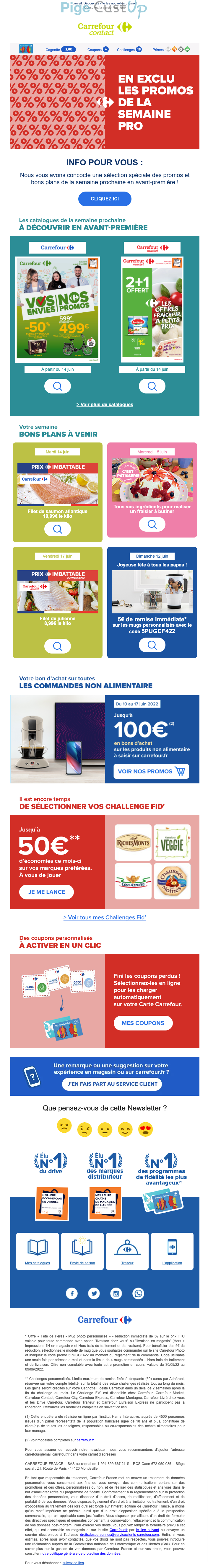 Exemple de Type de media  e-mailing - Carrefour - Marketing relationnel - Newsletter