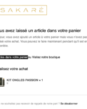 e-mailing - Marketing Acquisition - Panier abandonné - Sakaré - 05/2022