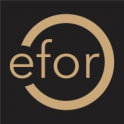 EFOR Consultants