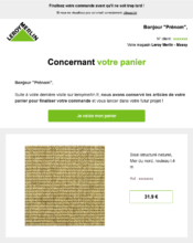 e-mailing - Marketing Acquisition - Panier abandonné - Leroy Merlin - 11/2022