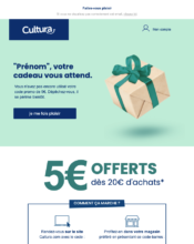 e-mailing - Marketing relationnel - Anniversaire / Fête contact - Cultura - 11/2022