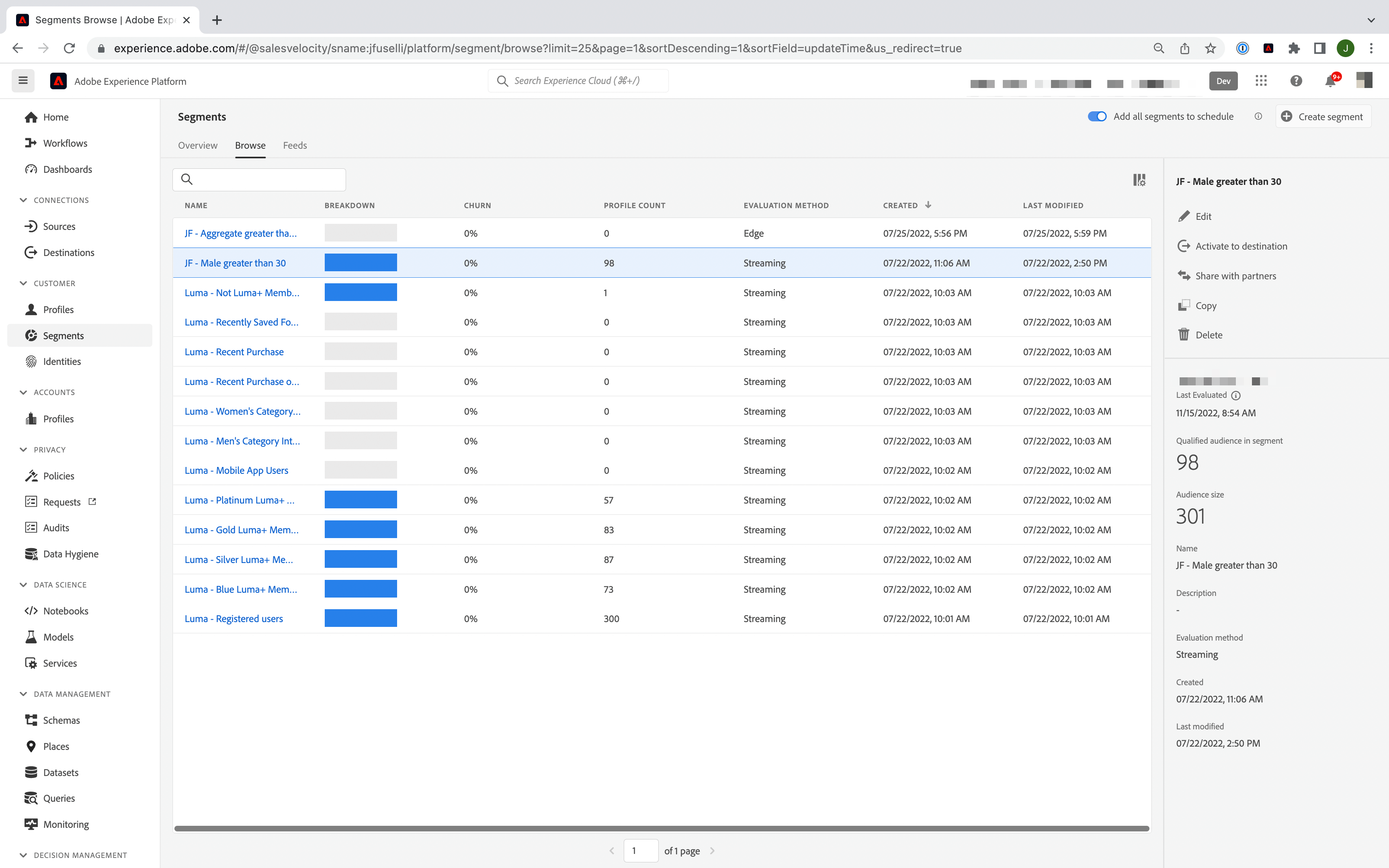 adobe real time cdp liste segments