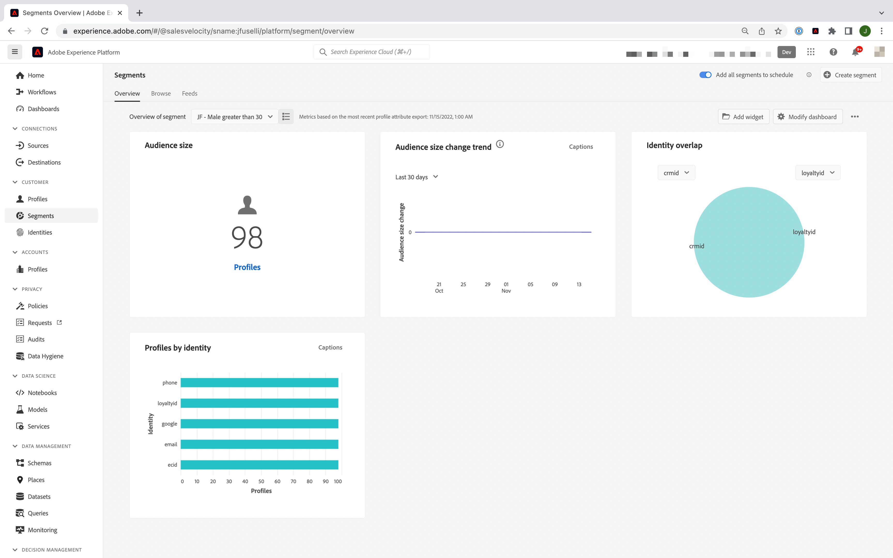 adobe real time cdp tableau de bord reporting