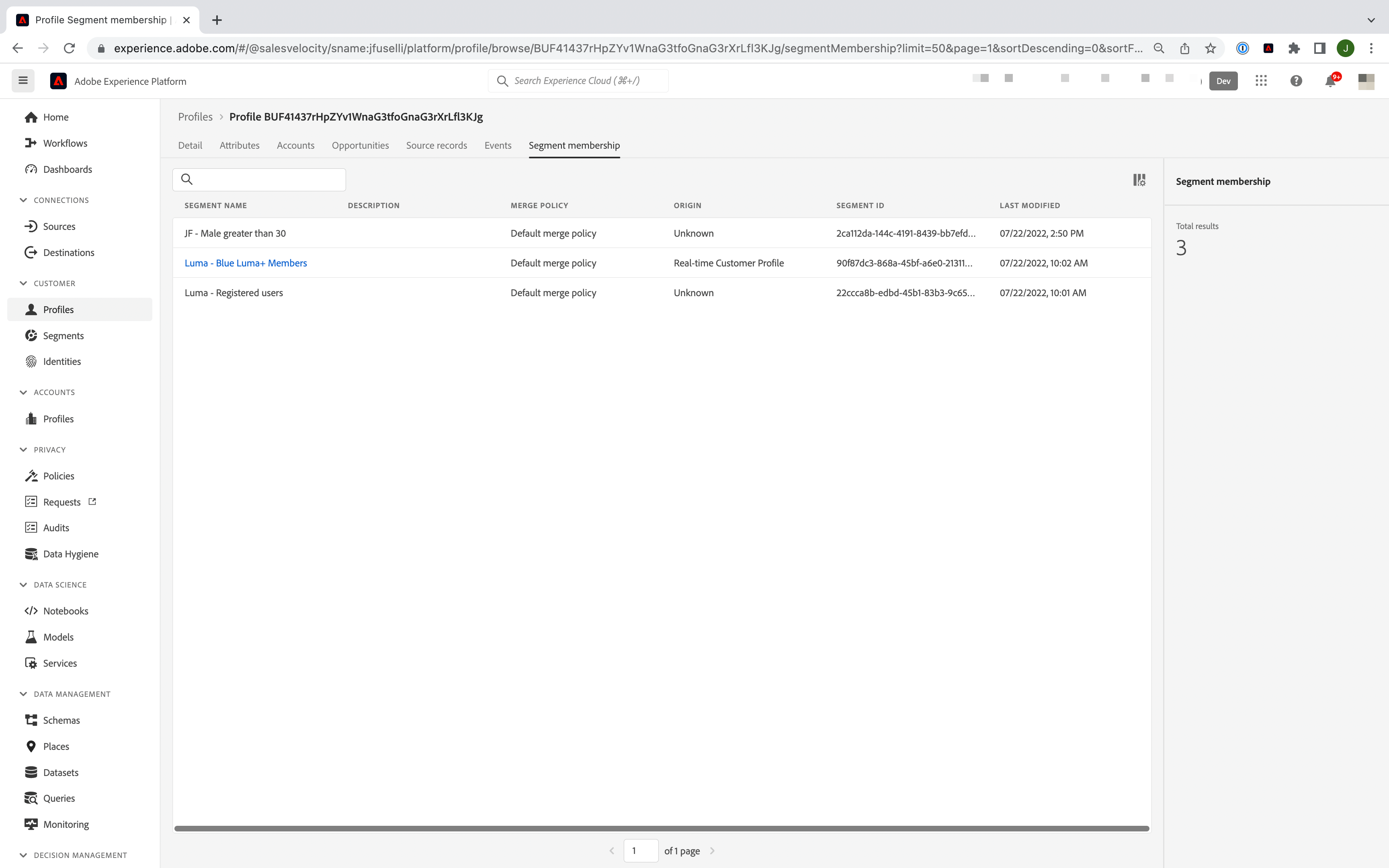 adobe real time cdp vue client segments