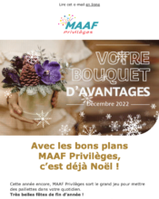 e-mailing - Marketing relationnel - Calendaire (Noël, St valentin, Vœux, …) - Maaf - 12/2022