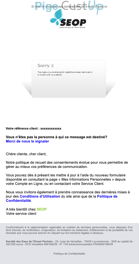 Exemple de Type de media  e-mailing - SEOP - Service Clients - Préférences de communication