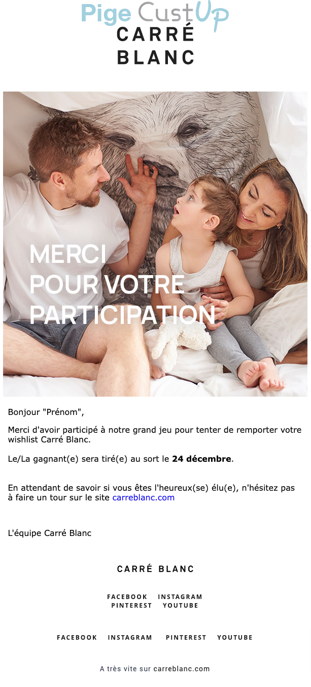 Exemple de Type de media  e-mailing - Carré Blanc - Marketing Acquisition - Jeu promo