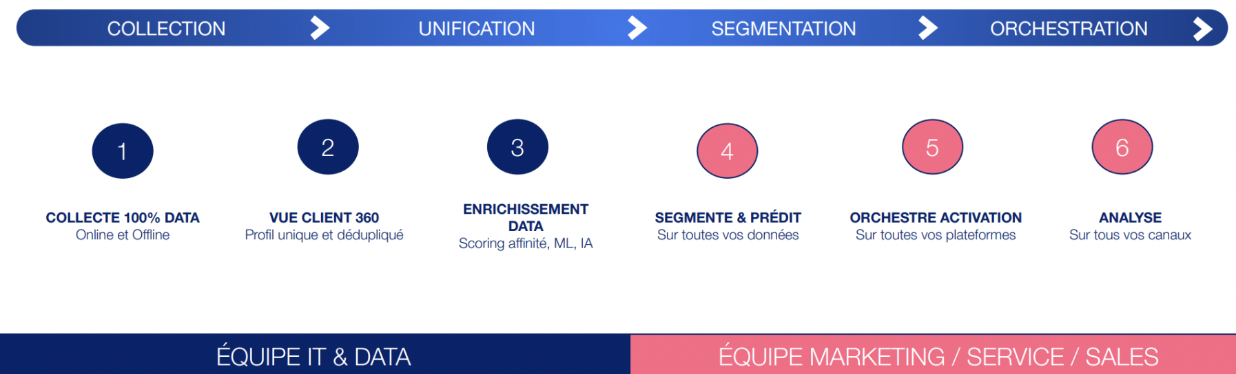 cdp treasure data equipes it metier