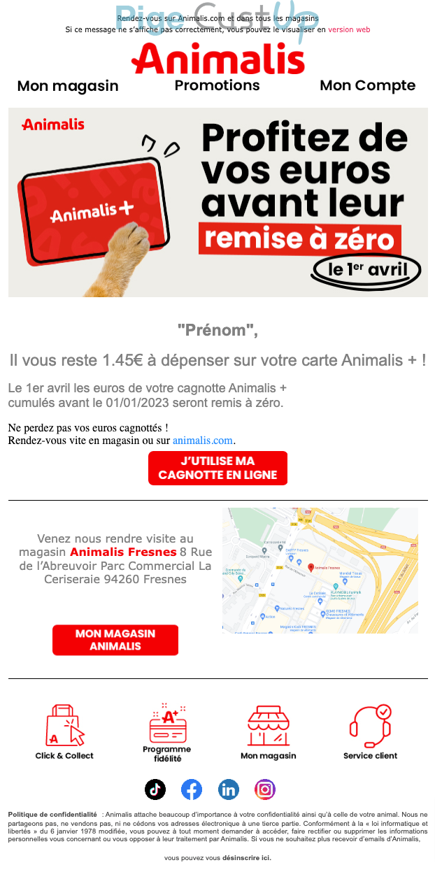 Exemple de Type de media  e-mailing - Animalis - Marketing fidélisation - Points et statut