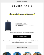 e-mailing - Marketing Acquisition - Relance page vu - Delsey Paris - 06/2023