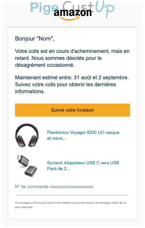 Exemple de Type de media  e-mailing - Amazon - Transactionnels - Suivi de commande Retard livraison