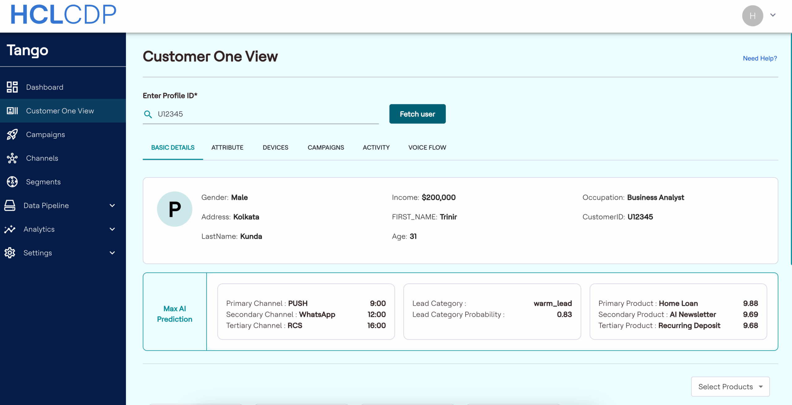 hcl software customer data platform panorama cdp fichier client