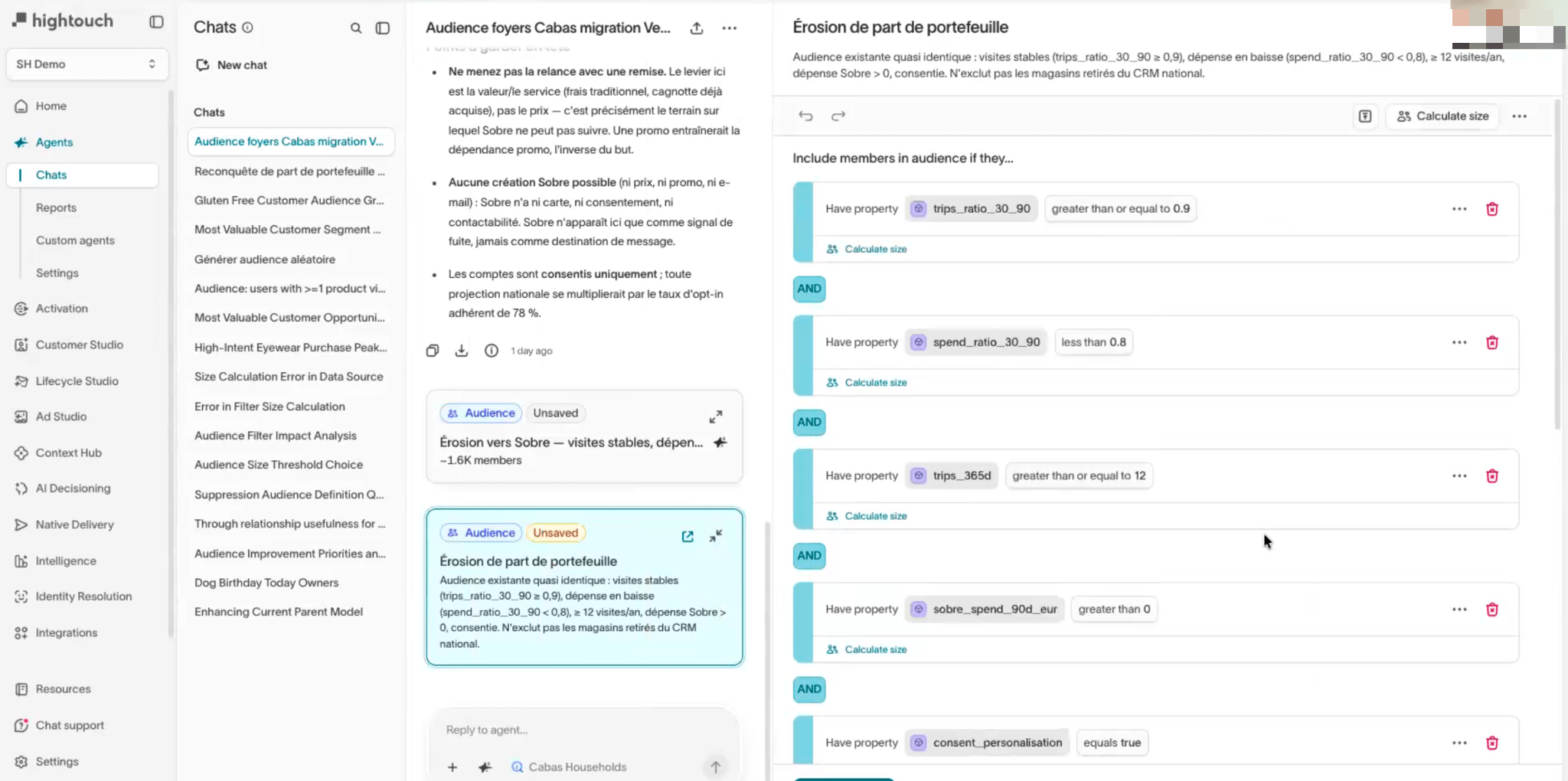 Audience construite en langage naturel par un agent IA avec ses filtres modifiables, exemple Hightouch